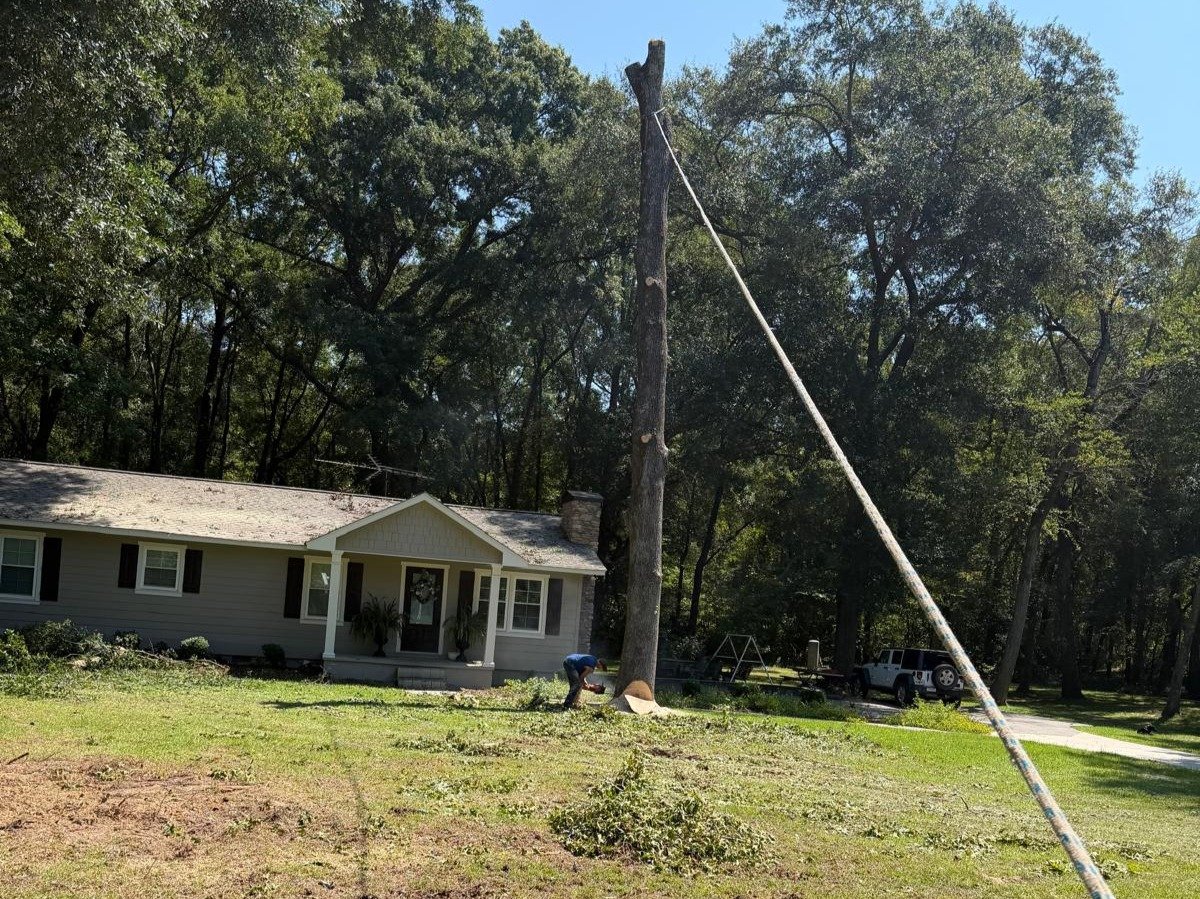 El Costeño Tree Service LLC